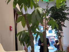 -鹿港小镇(黄金店)
