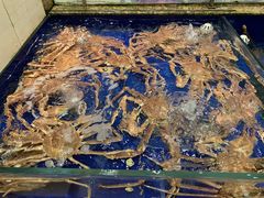 -高佳庄·舟山海鲜(海景旗舰店)