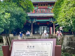 -灵谷景区