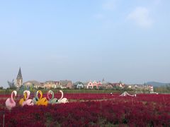 -爱丽丝仙境花海