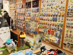 -猫的天空之城概念书店(大学路店)
