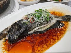 清蒸石斑鱼-紫阳家宴(源深店)