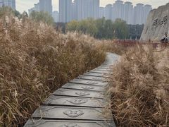 -西安汉城湖景区