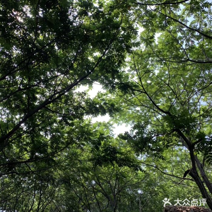 山叶口景区图片