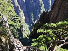 -黄山风景区
