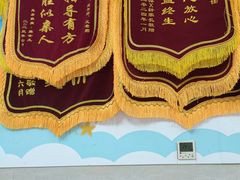 -龙都儿童医院