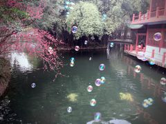 -棠湖公园