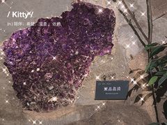 -中国地质博物馆