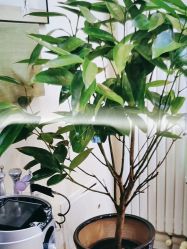 -美肌工坊皮肤管理