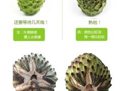 -沈阳市八家子水果批发市场