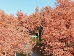 -青山湖景区