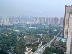 -君悦酒店·乐厨·高空自助餐(青年大街店)