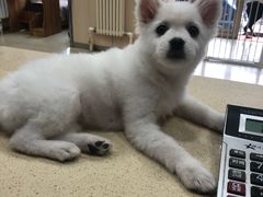 -宠颐生宠物医院·综合诊疗(先锋分院)