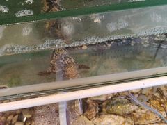 -Sasa的海(蜈支洲岛后海店)