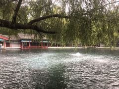 -百脉泉景区