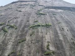 -鄣山大峡谷