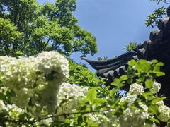 -常熟方塔园