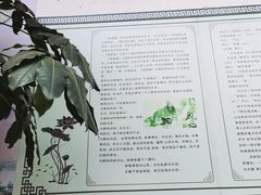 -叩齿古寺