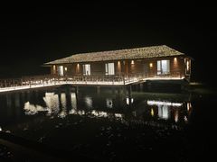 -泗洪洪泽湖湿地景区