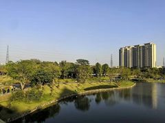 -王借岗森林公园