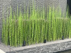 -良渚文化村