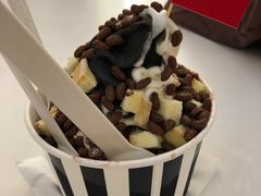-JW德国冻酸奶Frozen Yogurt(龙湖成都滨江天街店)