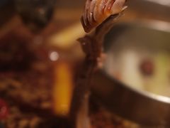 -蜀九香火锅(九眼桥店)