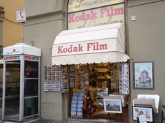 -圣母百花大教堂穹顶