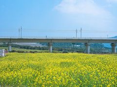 -光明小镇欢乐田园