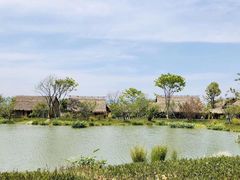 -良渚古城遗址公园