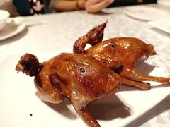 -琬苑鸽庄·川粤融合菜(解放碑总店)