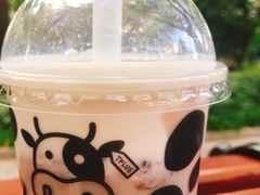 -TPLUS茶家(淮海店)