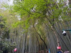 -杭州黄龙洞