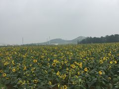 -雪山彩虹谷景区