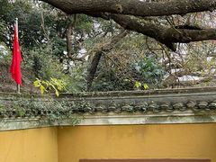 -普陀山慧济禅寺