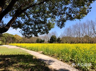 性价比也最高；上海植物园门票要贵一倍，且没舍惊喜