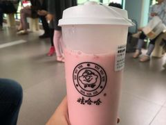 -娃哈哈·奶茶(武林店)