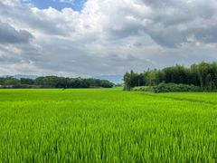 -良渚古城遗址公园