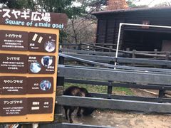 -神户市立六甲山牧场