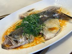 桂鱼-泓历皇朝酒店(东亭店)