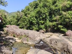 -广州白江湖森林公园