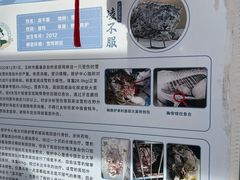 -青藏高原野生动物园