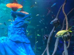 -沈阳海洋探索中心