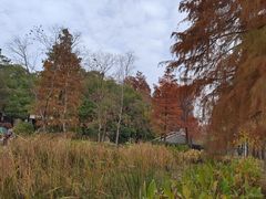-东湖落雁景区
