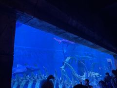 -波塞冬旅游度假区