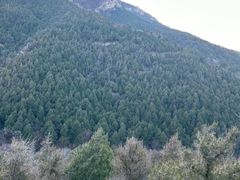 -佛慧山