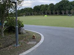 -昆山城市生态森林公园