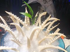 -王家渡火锅店(棕榈泉店)