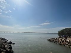 -宝安西湾红树林湿地公园