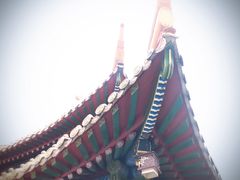 -普陀山风景名胜区-法雨禅寺